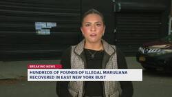 Massive illegal cannabis warehouse shut down in East New York; 2 arrested News Clip