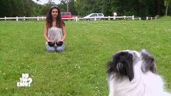 The Mind-Controlled Home: Tomorrow's Technology Today Instructional Video