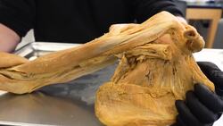 Muscle Shape: The Hidden Factor in Performance Instructional Video