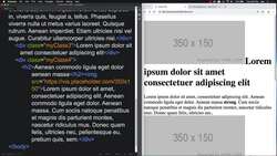 HTML CSS and JavaScript for Beginners - A Web Design Course - CSS Floats Images Instructional Video
