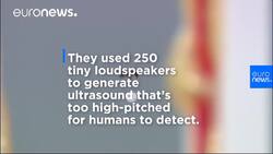 Scientists sound off after levitating ants breakthrough News Clip