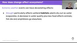 Changes in small-scale ecosystems Instructional Video