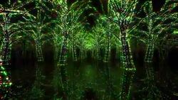 Neon Tree illumination Stock Footage