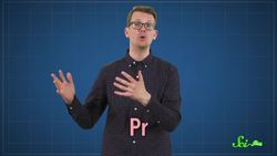 How Plants Tell Time Instructional Video