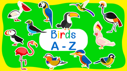 Exploring The World Of Birds From A To Z Instructional Video