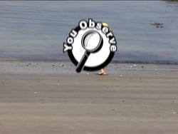 Weather Safety: Fair Weather Safety Instructional Video