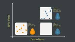 Why do Things Exist? Setting the Stage for Evolution Instructional Video