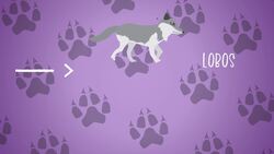 I WONDER - How Fast Can Wolves Run? Me Pregunto - Qué Tan Rápido Pueden Correr Los Lobos? Instructional Video