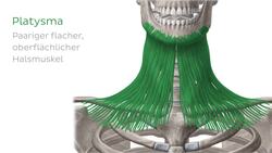Platysma Instructional Video
