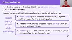 Writing the introduction of a non-chronological report about pandas Instructional Video
