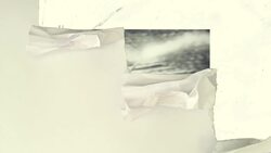 CBC Sports Explains: The Olympic Flame Instructional Video