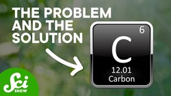 Fighting Carbon With Carbon Instructional Video