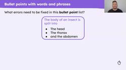 Bullet points Instructional Video