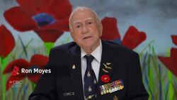 In Flanders Fields News Clip
