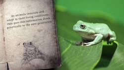 Cloning Endangered Species: A Hope for Genetic Diversity and Ecosystem Restoration Instructional Video