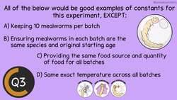 Experimental Design Review: Before the Bell Biology Instructional Video