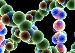 Mutación Instructional Video