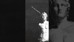 Diogenes: Philosopher and Epitome of Chaotic Neutral Instructional Video