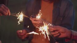 I WONDER - How Long Is Chinese New Year Celebrated? Instructional Video