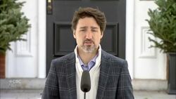 Trudeau discusses border restrictions, virtual Parliament News Clip