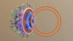 How soap destroys a virus Instructional Video