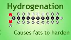 Hardening Vegetable Oils Through Hydrogenation Instructional Video