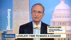 Reforestation in Amazon Is Key, Says U.N. Foundation Fellow News Clip