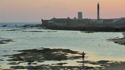 Wide Angle: Woman and Dog on Reef Stock Footage