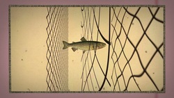 Macbeth 1.7 Discussion: Macbeth's Soliloquy Instructional Video