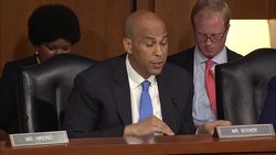 Democrat senator bemoans inability to publicly discuss race email News Clip