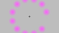 The Lilac Chaser Illusion Instructional Video