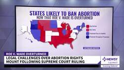 Texas Clinics Halt Abortions After State High Court Ruling News Clip