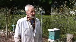 Strategic Hive Placement: Mastering Beekeeping Basics Instructional Video