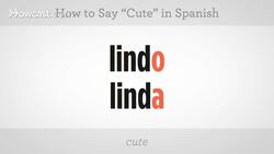 How to Say "Cute" in Spanish Instructional Video