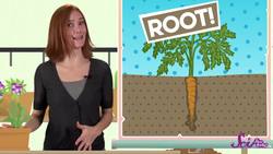 You Are What You Eat! Instructional Video