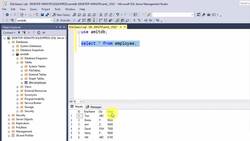 SQL Server Course for Beginners with 100+ examples - AVG() Function Instructional Video