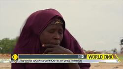 Hunger deepens as farmers in conflict-ridden northeast nigeria struggle to survive News Clip