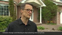 Climate change may mean high olive oil prices are here to stay News Clip