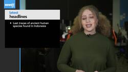 Newsy's Latest Headlines News Clip