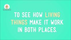 Water Water Everywhere Instructional Video