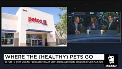 Petco Appeals to 'Pet Parents' With New Natural Pet Food Initiatives News Clip