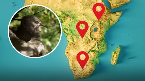 No Single Cradle of Humankind