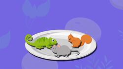 I WONDER - What Did Omnivore Dinosaurs Eat? Instructional Video