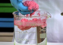 Clearing Oil Spills Instructional Video