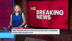 Motorcyclist hit and killed by FDNY truck in Marine Park News Clip