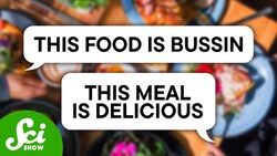 The Problem With Code-Switching Instructional Video