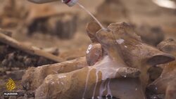 Mexico uncovers biggest collection of ice-age mammoth skeletons News Clip