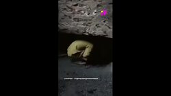 Uttarakhand Tunnel Rescue: How Illegal Rat Hole Mining Saved 41 Trapped Workers News Clip