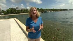 Miami evacuations underway ahead of Irma News Clip