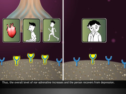 Therapeutic action of different classes of Drugs Instructional Video